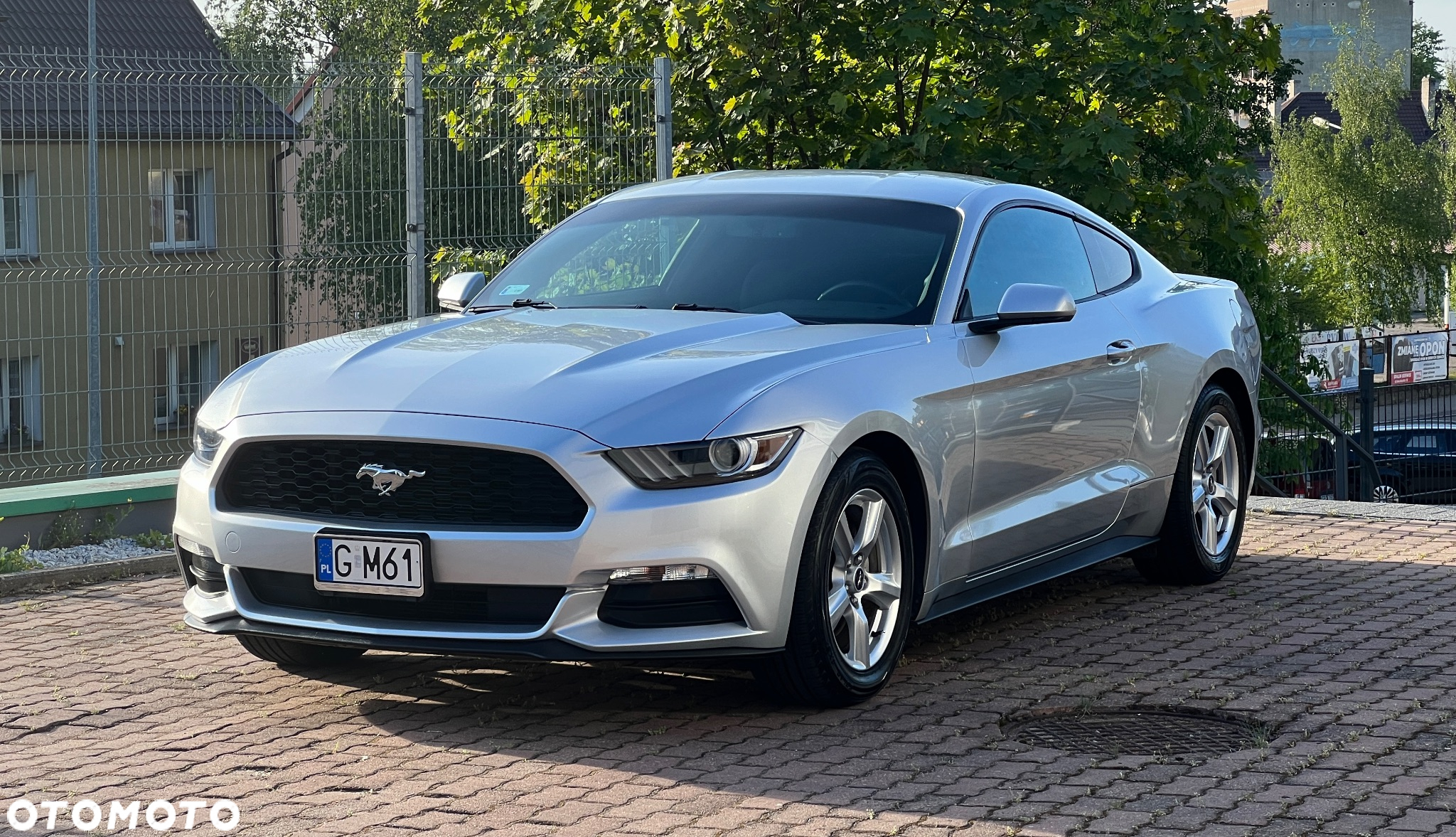 Ford Mustang 3.7 V6 - 3