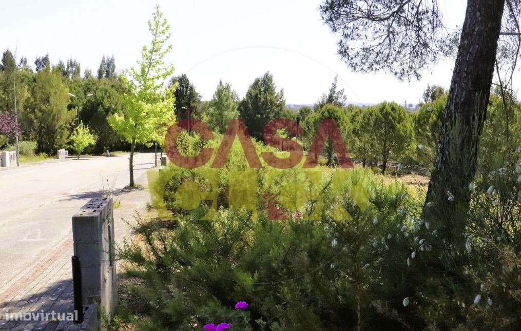 Lote de Terreno T4 Venda em Constância,Constância-22