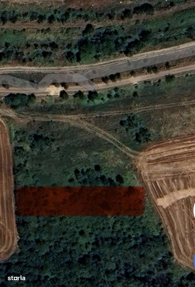 Teren intravilan zona București vest - CIOROGARLA-0