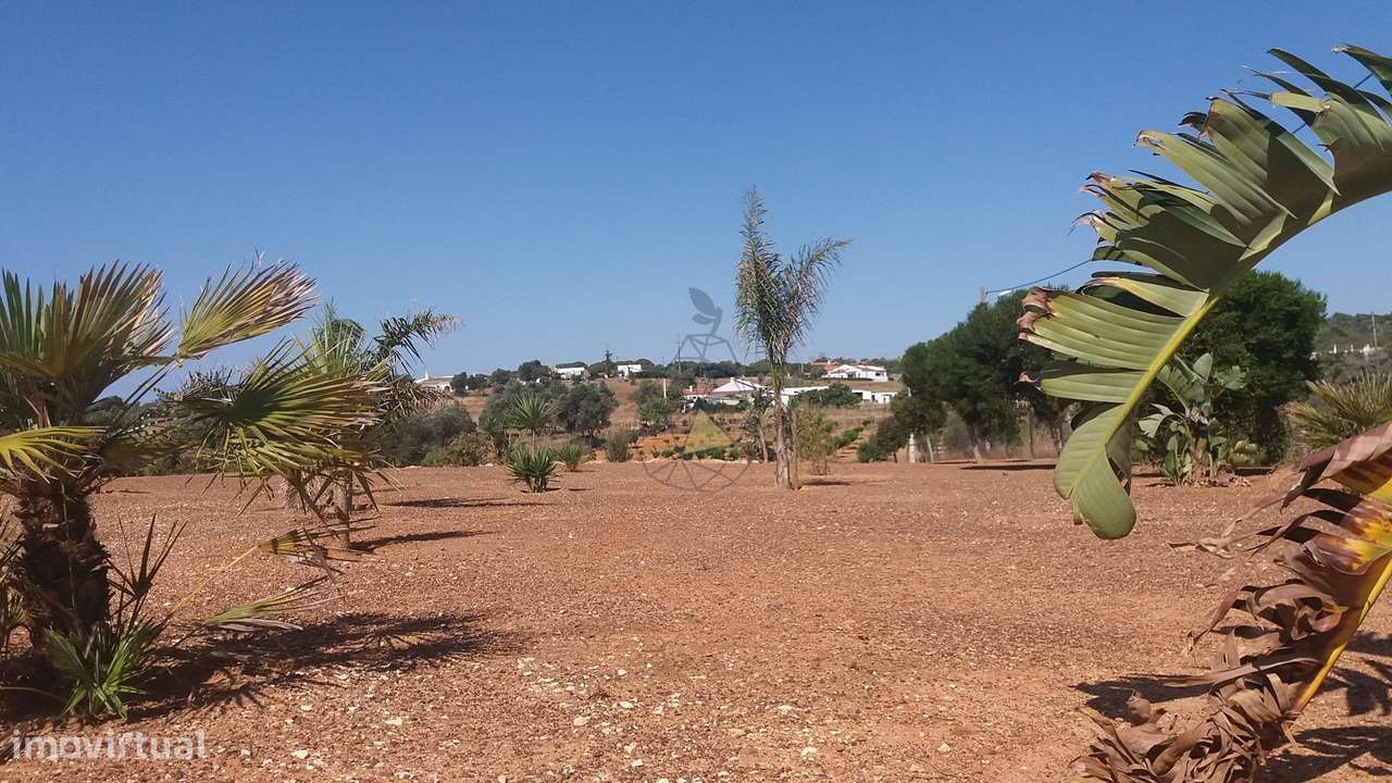Terreno - Misto em Odiáxere - Lagos - Grande imagem: 3/23