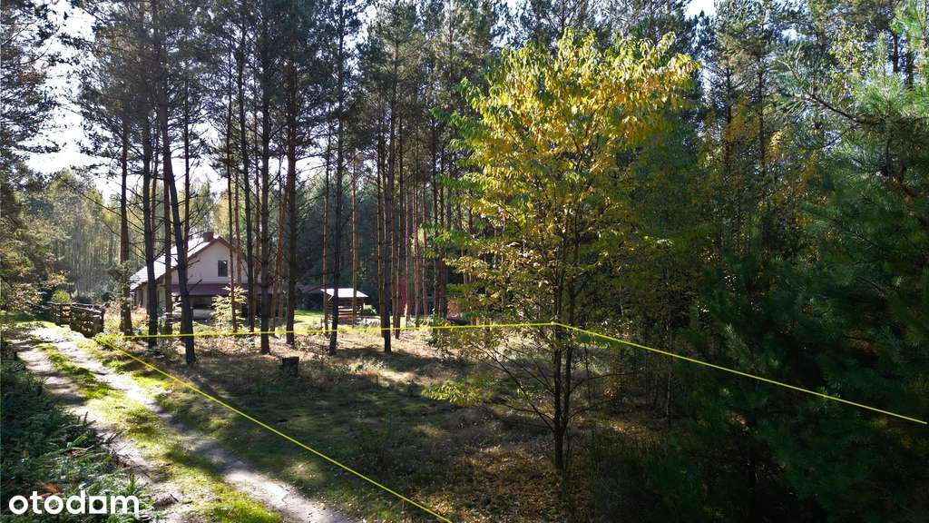 Działka budowlana 1200m² nieopodal rzeki Pilicy - Pełny obrazek: 2/3