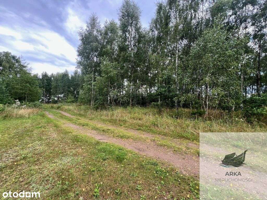 Działka blisko Inska o pow. 3412 m2 - Pełny obrazek: 4/5