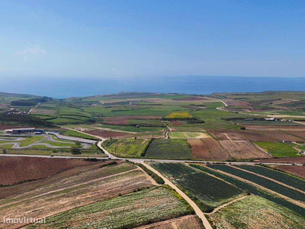 Venda de 2 Terrenos Agrícolas na zona do Paimogo, Lourinhã-21