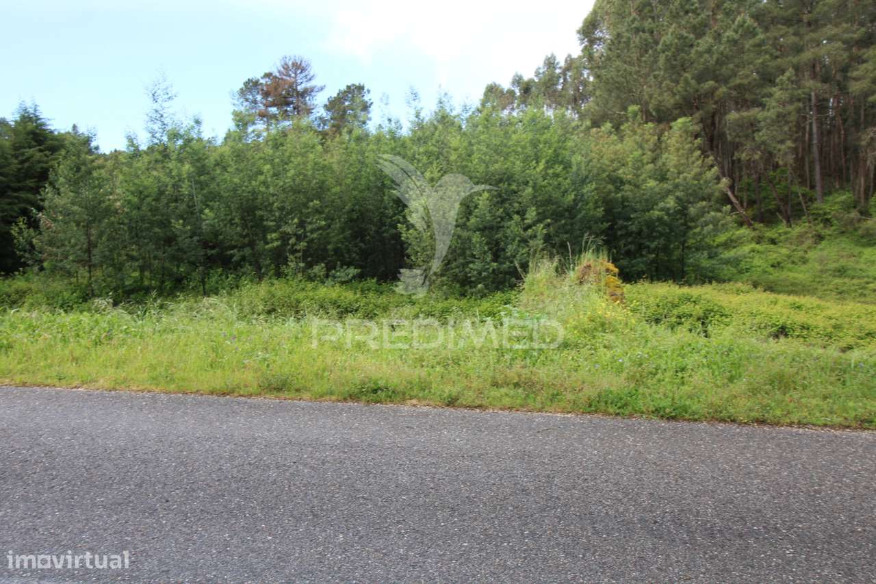 Terreno com possibilidade de  construção - Grande imagem: 5/33