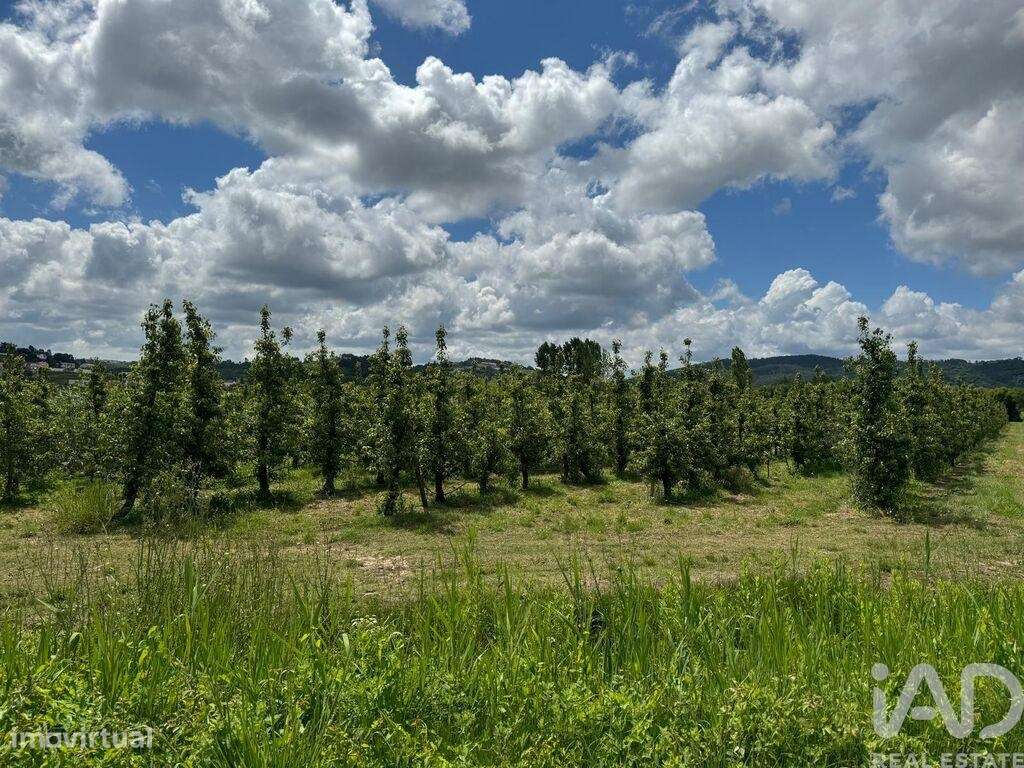 Terreno em Maiorga de 1020,00 m2 - Grande imagem: 2/16