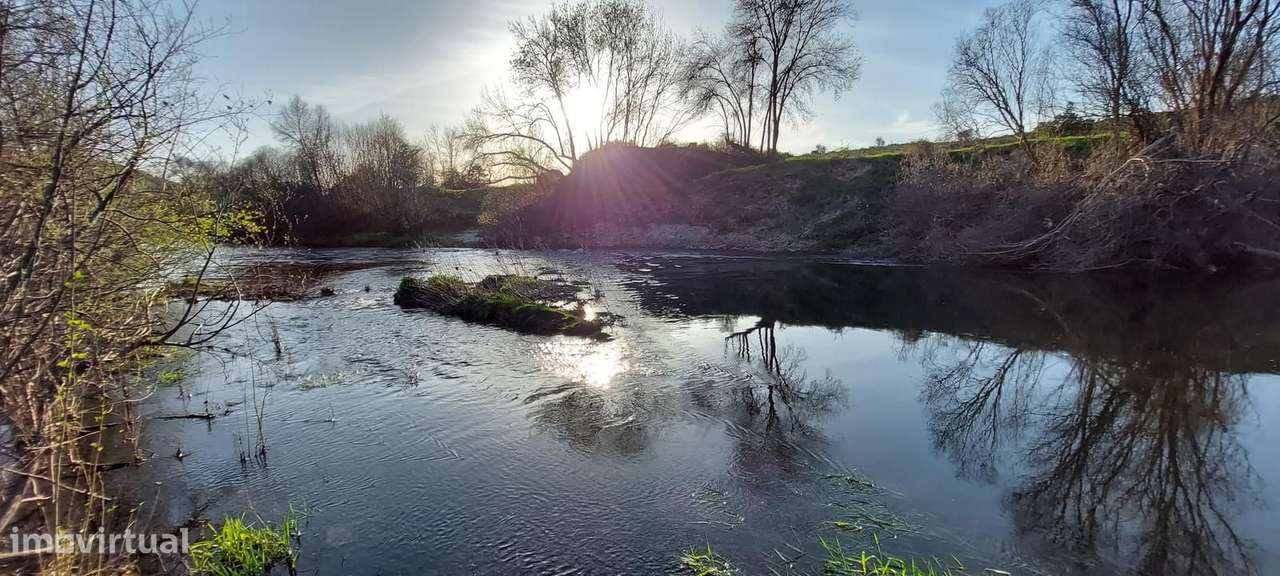 Quinta 5.3 ha, Covilhã-47