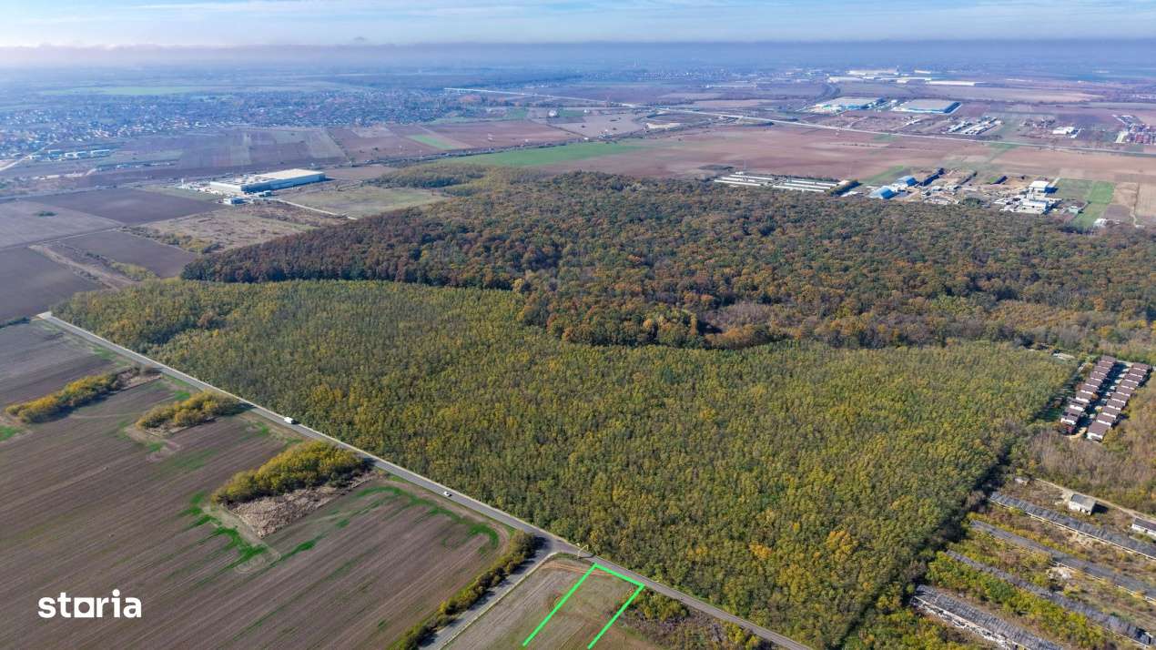 Dragomiresti Deal teren 6700 mp, padurea Ileana, utilitati, asfalt-4