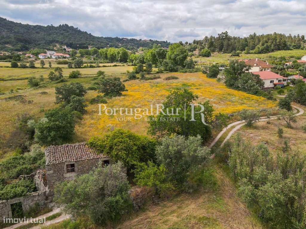 Quintinha com 2 hectares - Grande imagem: 4/14