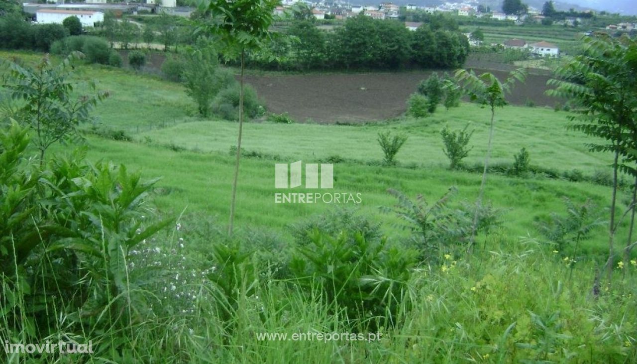 Venda Terreno, Freixo de Baixo, Amarante