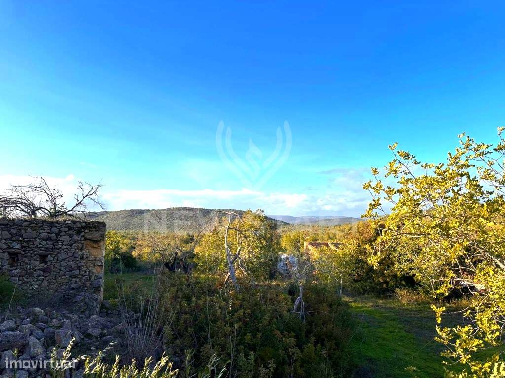 Terreno Misto em Boliqueime - Grande imagem: 3/23