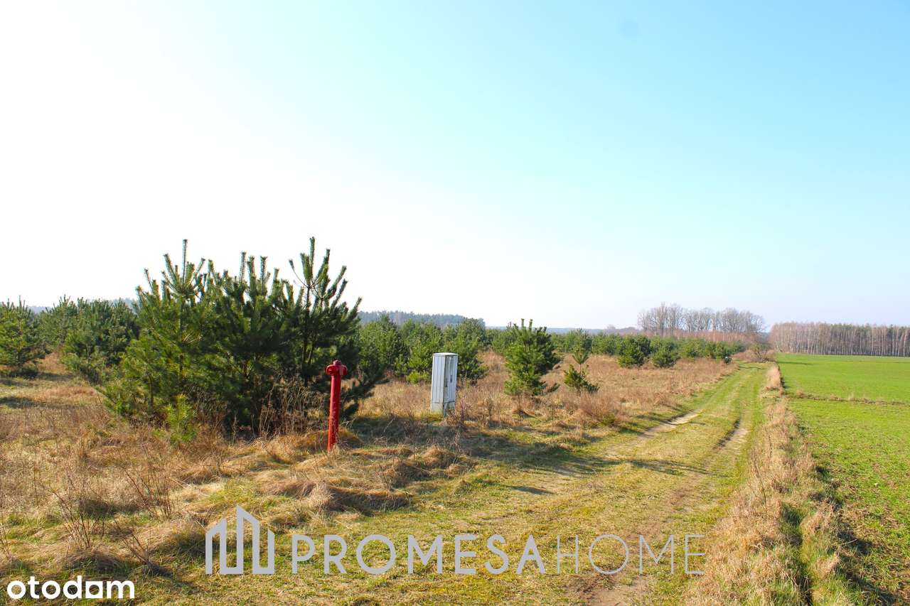 Karczewko działki budowl MPZP media blisko lasu jeziora 70zł/m2 brutto-2