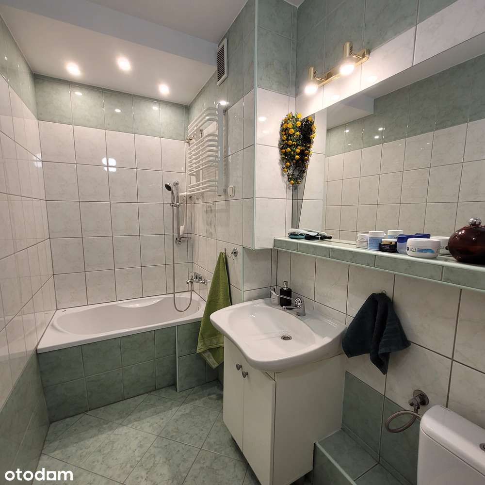 Mieszkanie 2 pokoje, rozkład, plomba, w ok. pl Bema-7