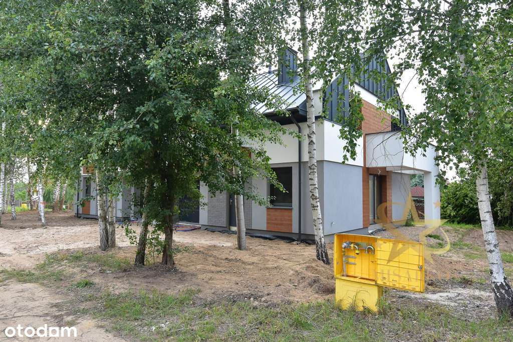 *Bliźniak z brzozą w urokliwym miejscu*Karakule* - Pełny obrazek: 4/14