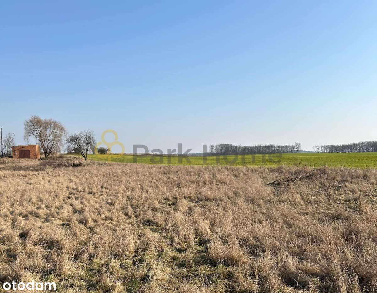 Duża działka na Duży dom - Pełny obrazek: 4/6