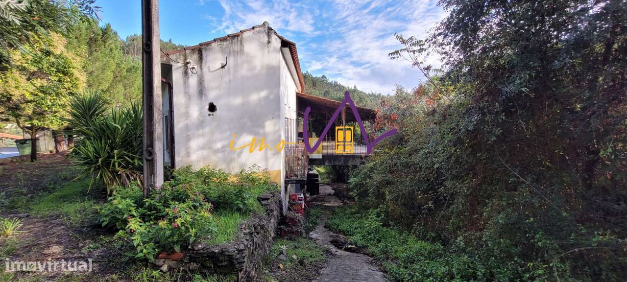 Restaurante Ribeira de Alge-3