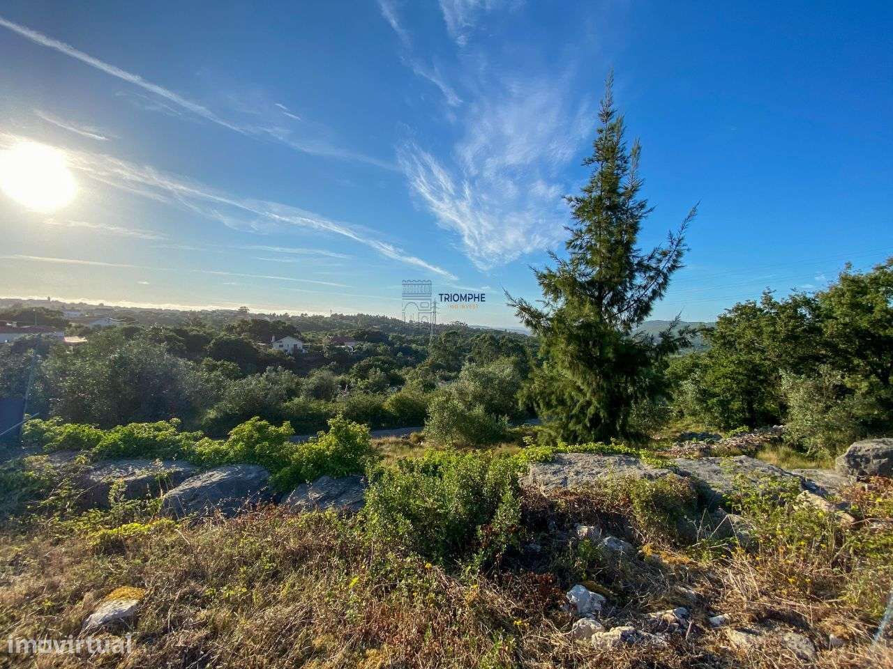 Terreno Rústico Viabilidade de Construção, Carvalhinho, Porto de Mós - Grande imagem: 5/22