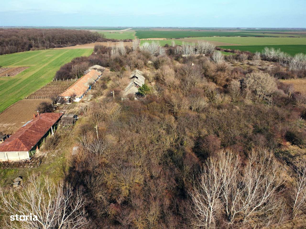 Ferma si livada de meri in judetul Ilfov-17
