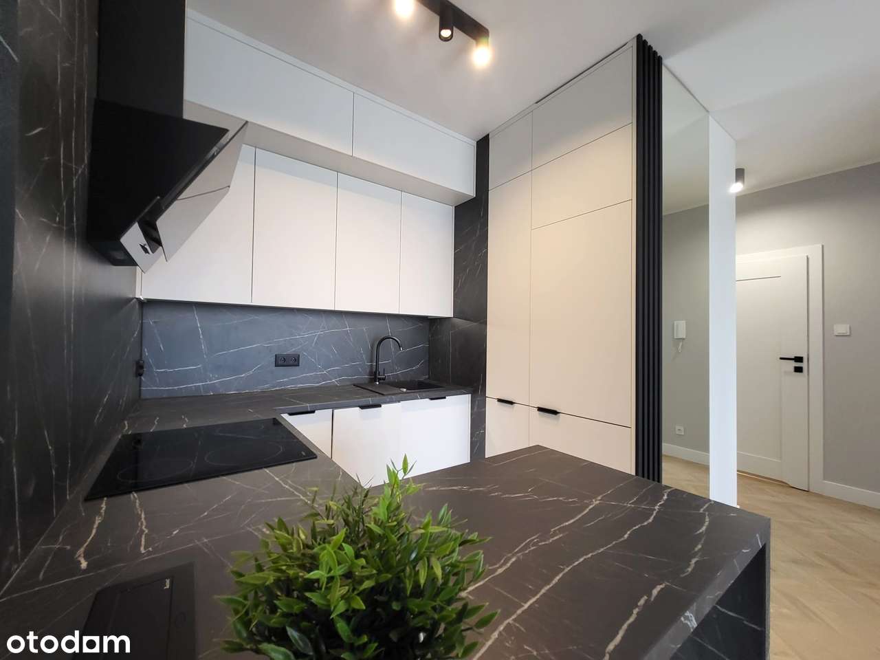 Blisko centrum, bez PCC, miejsce postojowe, komórka - Pełny obrazek: 4/8