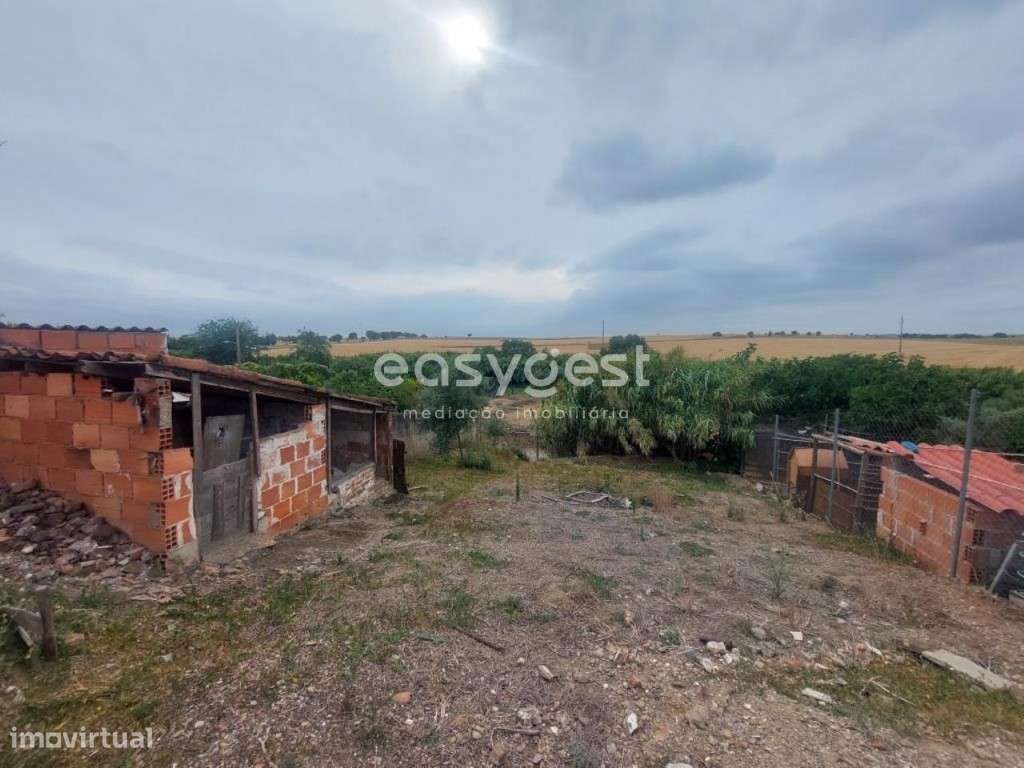 Moradia com 1 quarto e logradouro localizada em Santa Vitória - Grande imagem: 4/15