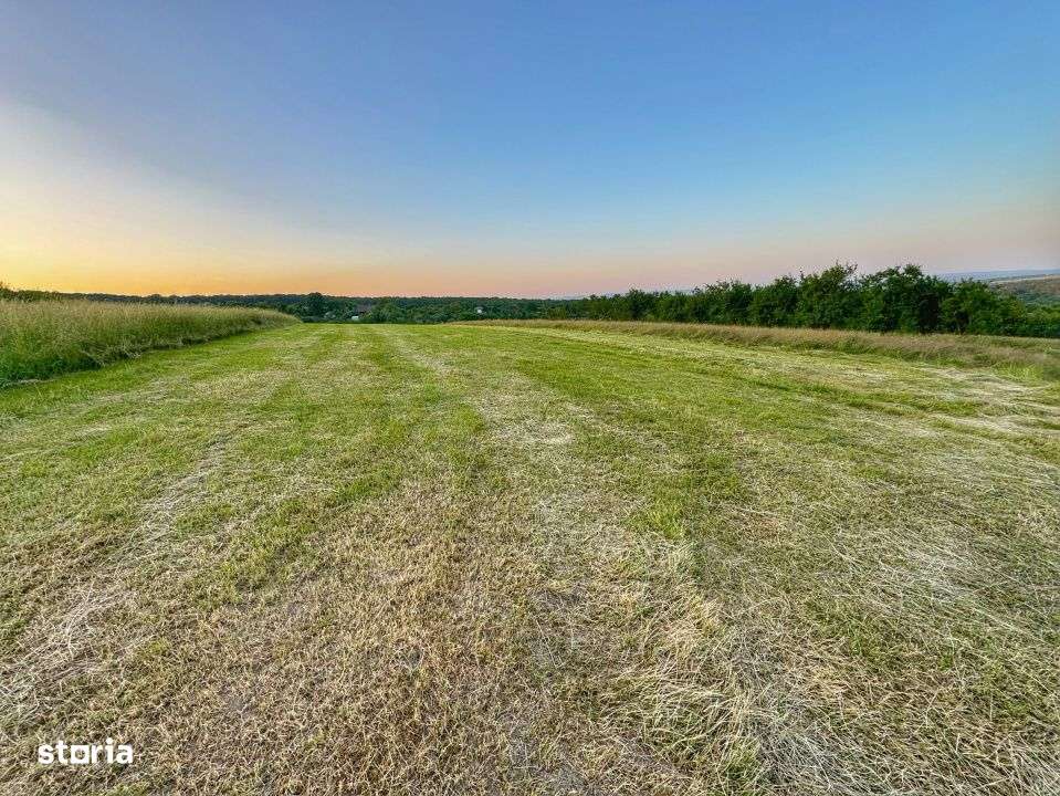 Teren 2000 mp de vanzare zona Tropini - Imagine principală: 3/5