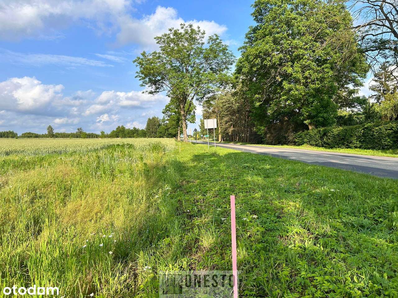 Działka budowlana 4 szt  Nasutów/Nowy Staw gm Niemce - Pełny obrazek: 4/10