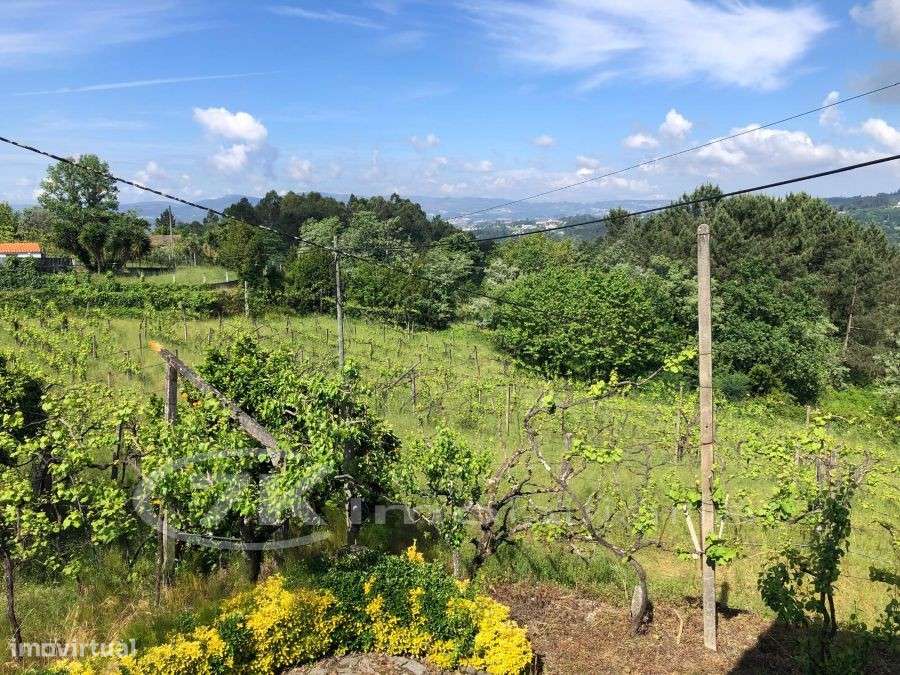 Quintinha- Légua- Marco de Canaveses - Grande imagem: 5/22