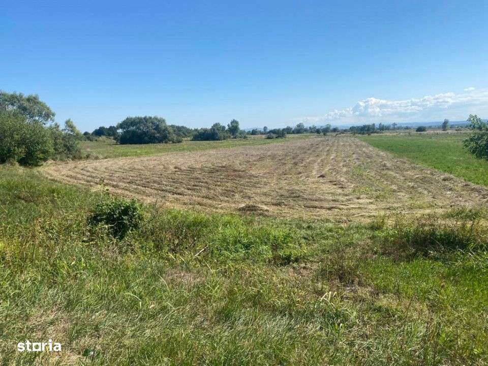 Teren Intravilan, 7143mp Strada Podgoria, Oradea - Imagine principală: 2/3