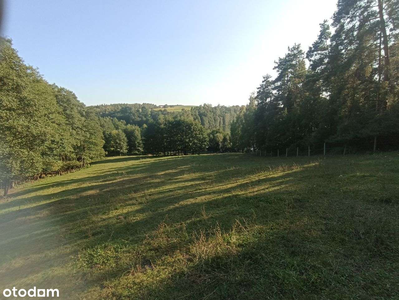 Działka nad jeziorem Wielki Głęboczek  80ar-1.6ha linia brzegowa - Pełny obrazek: 5/5