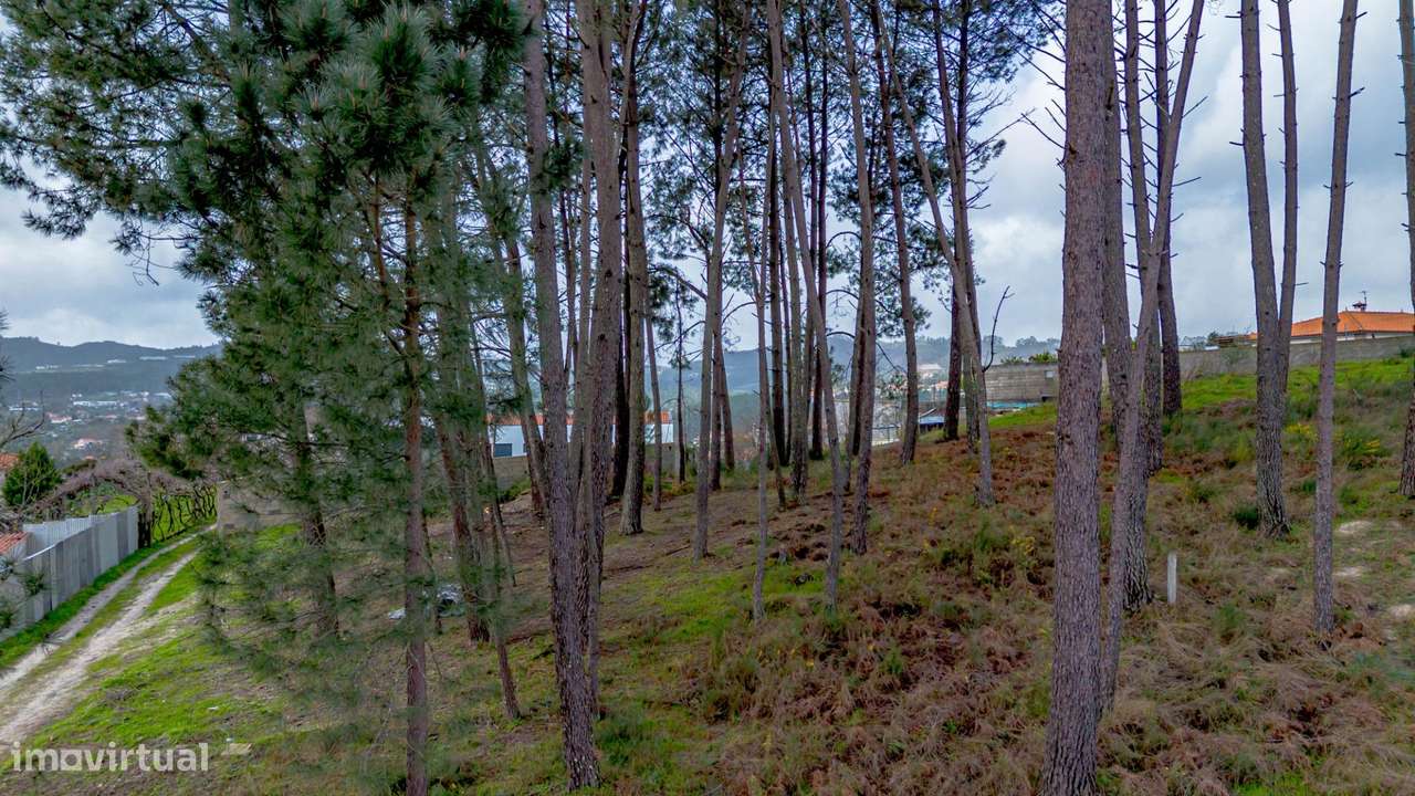 Terreno de Construção na rua Lamas de Couto, Fregim, Amarante-23