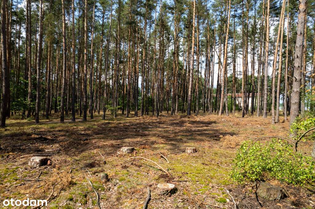 Działka 664m2 przy jez. Sławskim, Radzyń gm. Sława-6