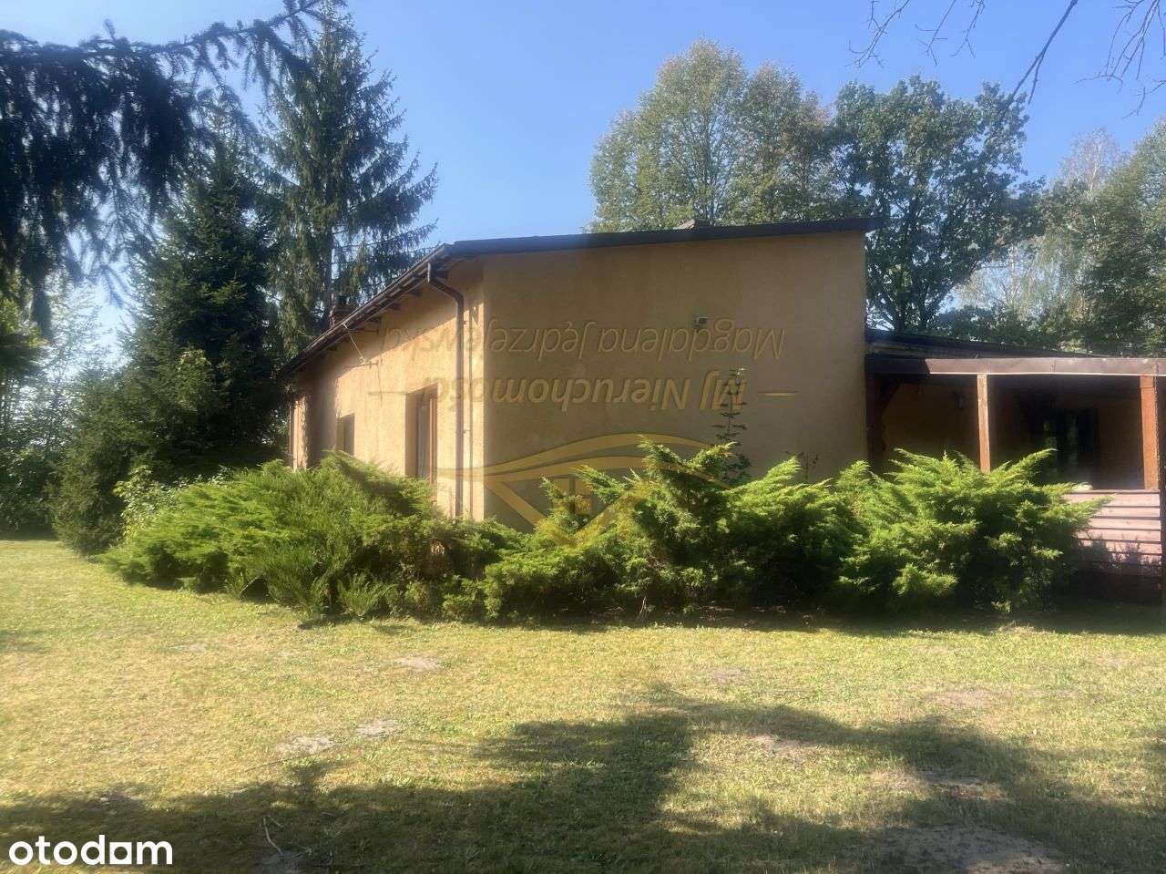 1ha z możliwością podziału na mniejsze działki - Pełny obrazek: 4/10