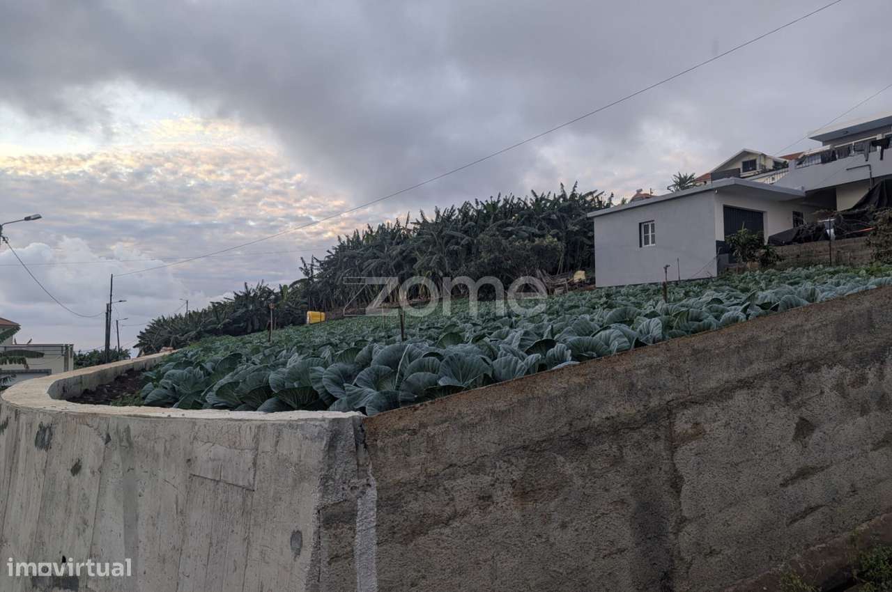 Terreno com Vista Mar e Grande Potencial de Construção | Canhas - Grande imagem: 5/11