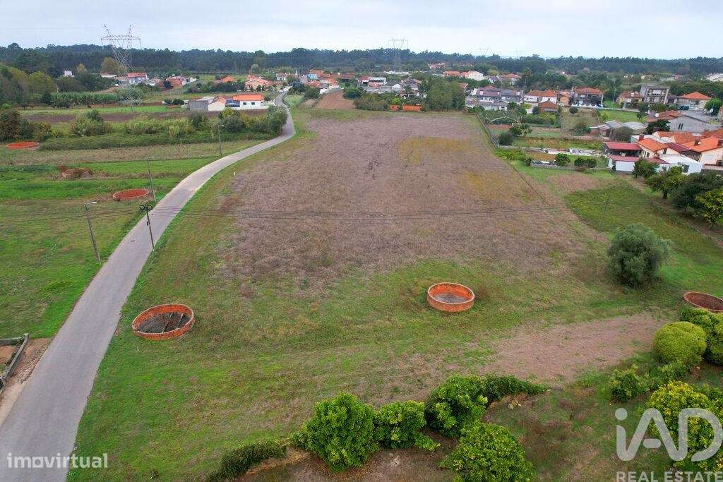 Terreno para construção em Bustos, Troviscal e Mamarrosa - Grande imagem: 4/14