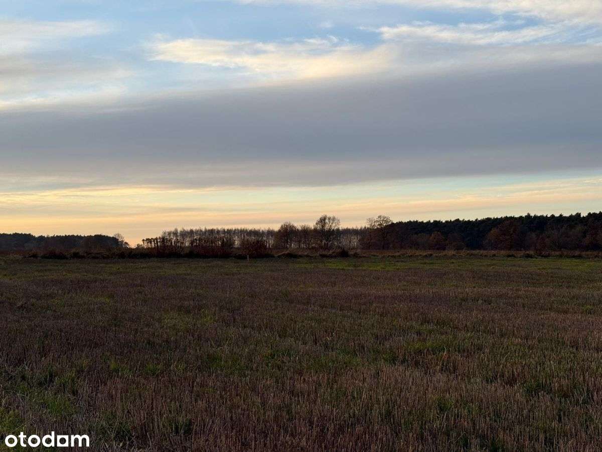 Działki rolne na sprzedaż | bliskość rzeki-13