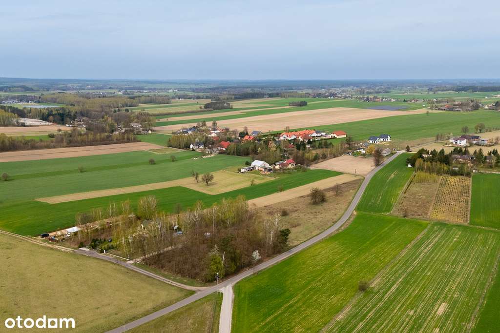 Działka na sprzedaż 3900 m2 - Syberia gm. Brzeziny - Pełny obrazek: 4/8