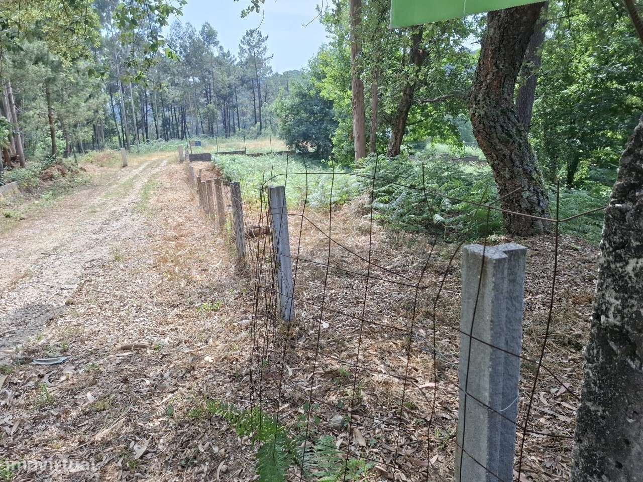 Terreno c/ projeto - Vale de Cambra-15