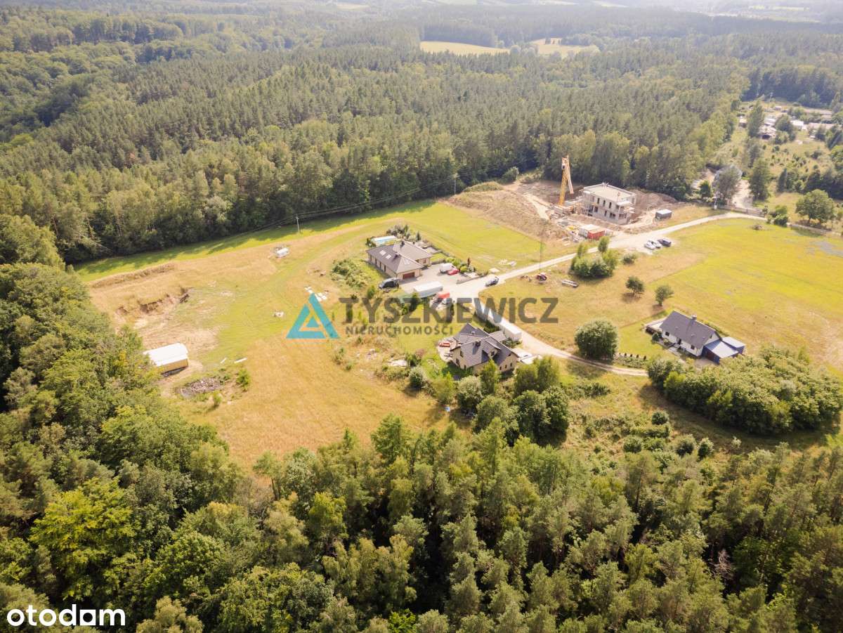 Czapielsk - piękna działka otoczona lasem! - Pełny obrazek: 4/18