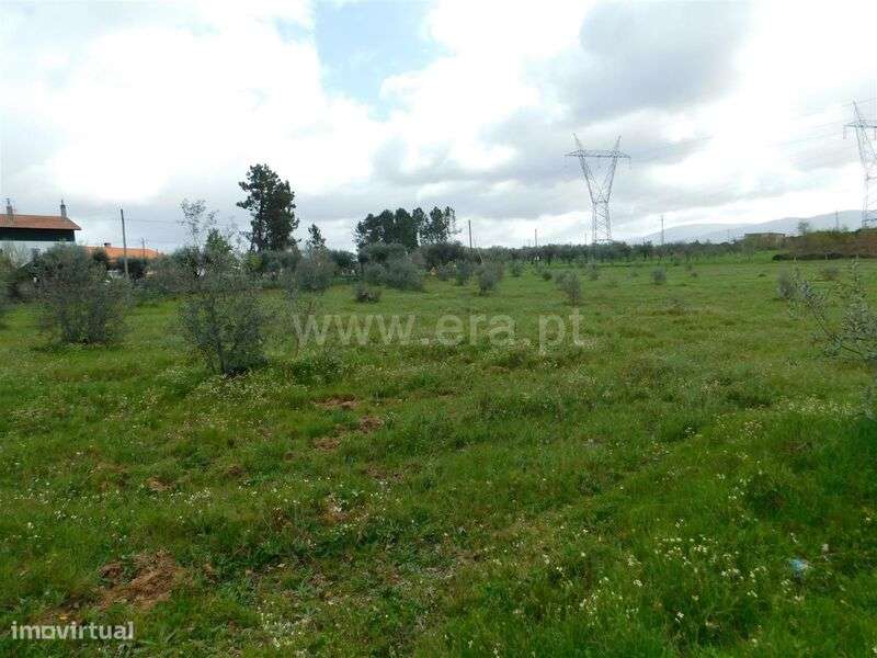 Terreno / Seia, Sameice e Santa Eulália - Grande imagem: 5/17