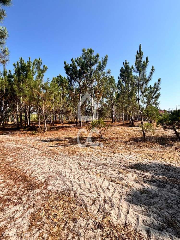Terreno urbanizável com a área de 1677 m2, inserido no aglomerado urba-6
