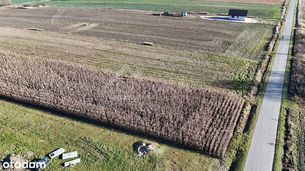 Wyjątkowa działka budowlana 1571 m² – Sielec - Pełny obrazek: 4/13