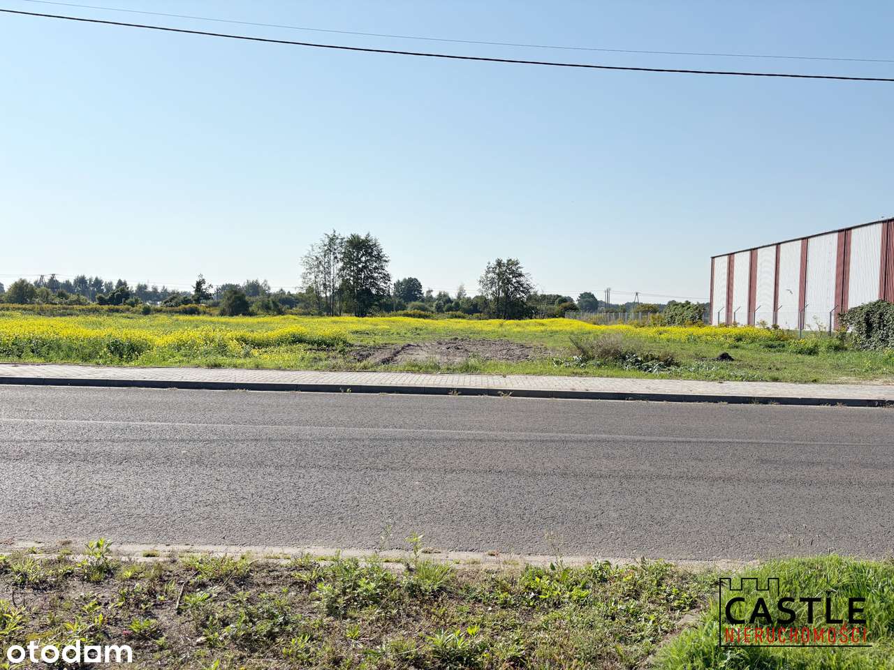 Duży teren inwestycyjny  pod halę lub centrum logistyczne-0