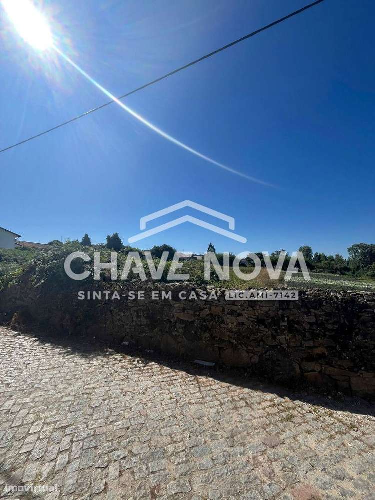 Terreno com 3 Frentes | 460m² | Madalena – Próximo à Praia - Grande imagem: 5/11