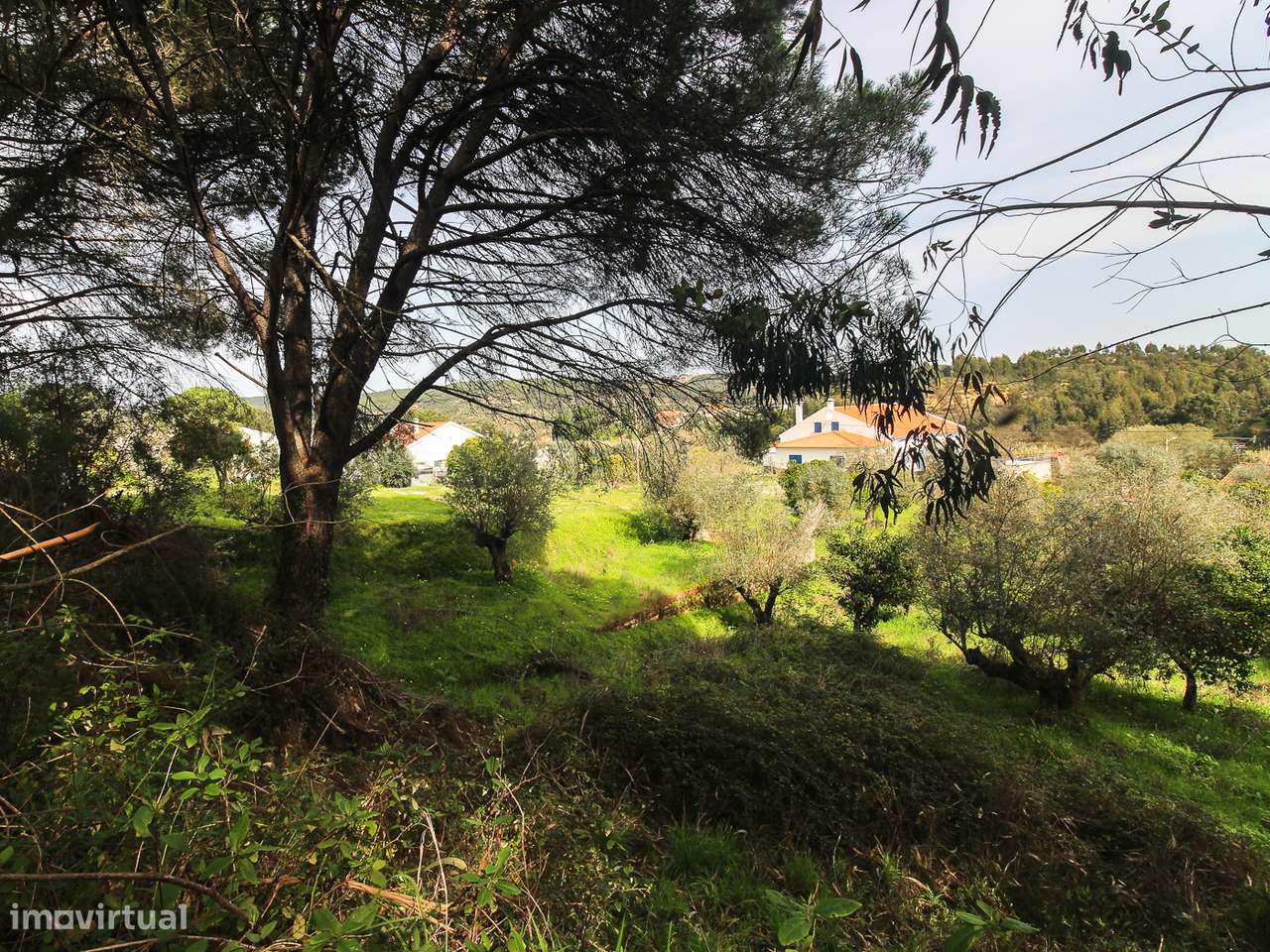 Terreno com cerca de 1 Hectare-8