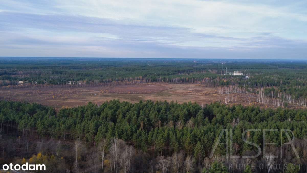 Dom z lat 70 z garażem | 5500 mkw działki-12