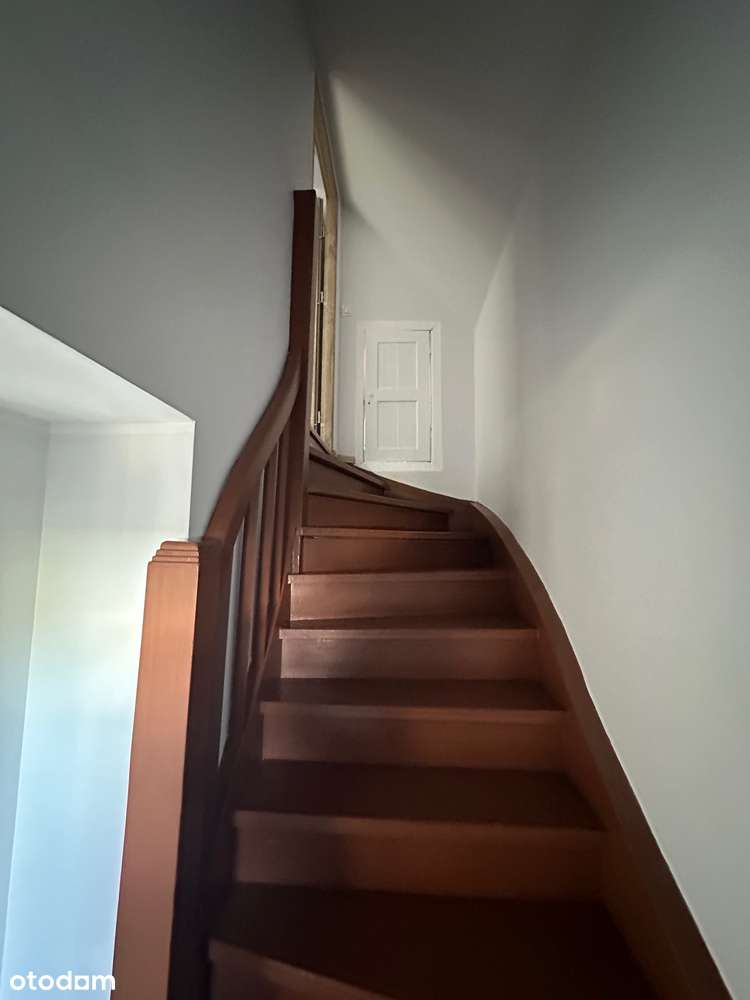 mieszkanie willowe, 1 pok. ogród - Pełny obrazek: 5/19