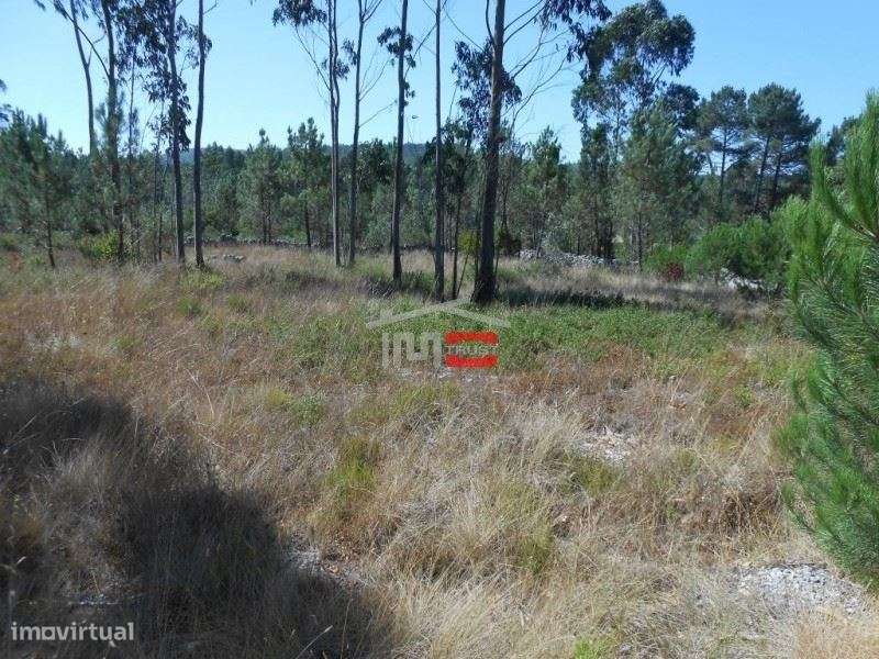 Terreno para Construção - Grande imagem: 3/12