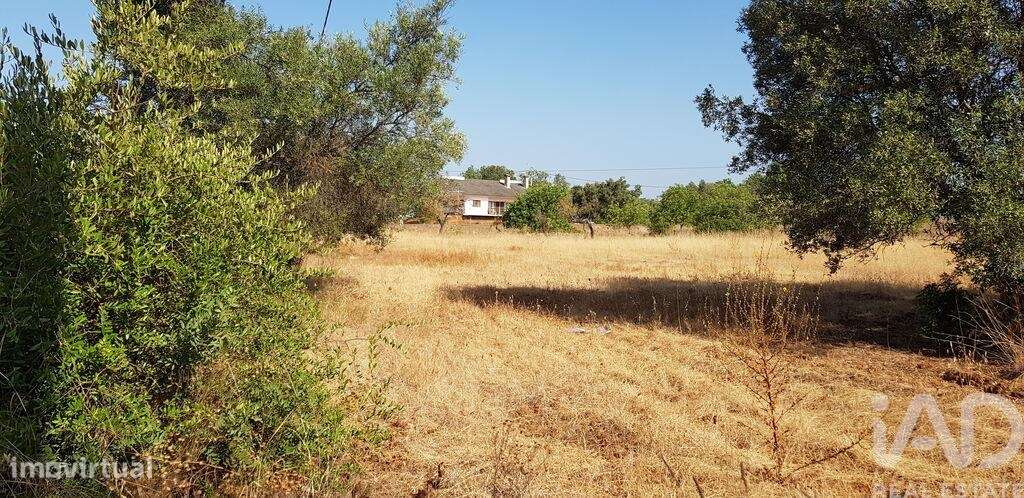 Terreno em Boliqueime de 11173,00 m2 - Grande imagem: 4/8