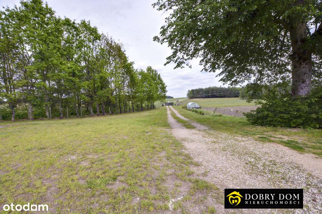 Dom w Puszczy Knyszyńskiej - Pełny obrazek: 5/20