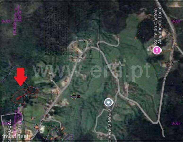 Terreno Rústico / Marco de Canaveses, Vila Boa do Bispo - Grande imagem: 4/4