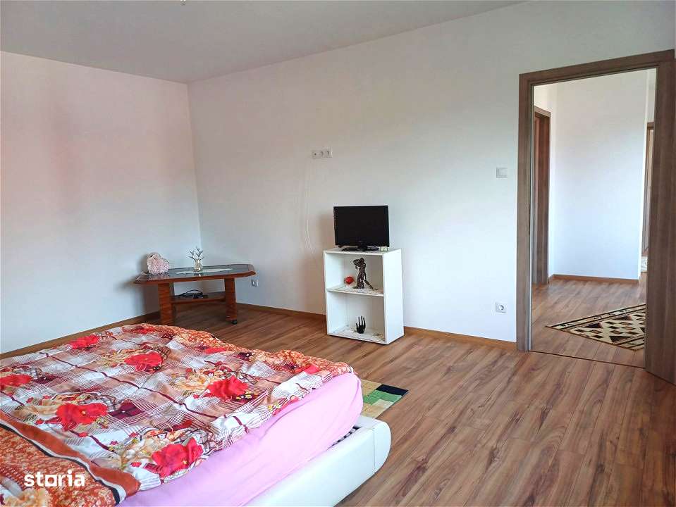 DOUA CASE DE VANZARE LA TALMACIU-17